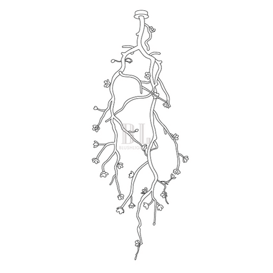Large Long Branch Flower Chandelier - Zelno Lighting