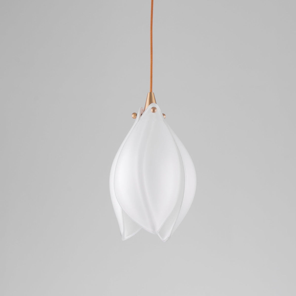 Celeste Flora Pendant Light - Zelno Lighting