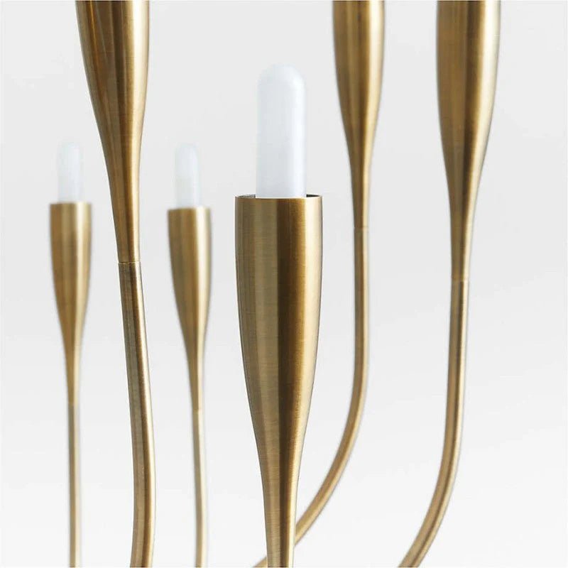 Curve Candelabra Chandelier - Zelno