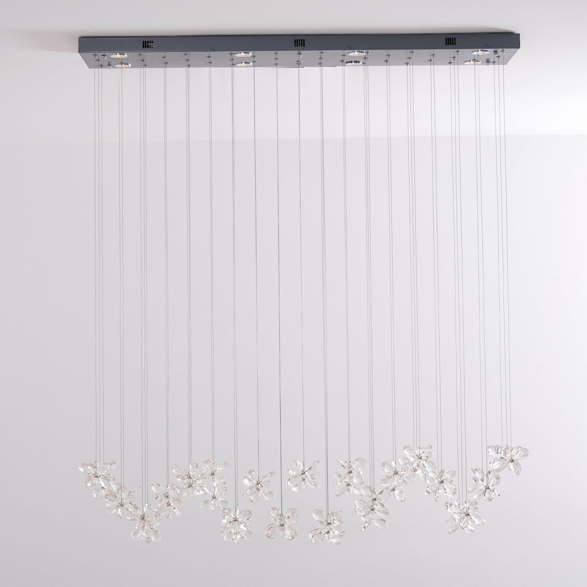 Floating Butterfly Chandelier - Zelno Lighting