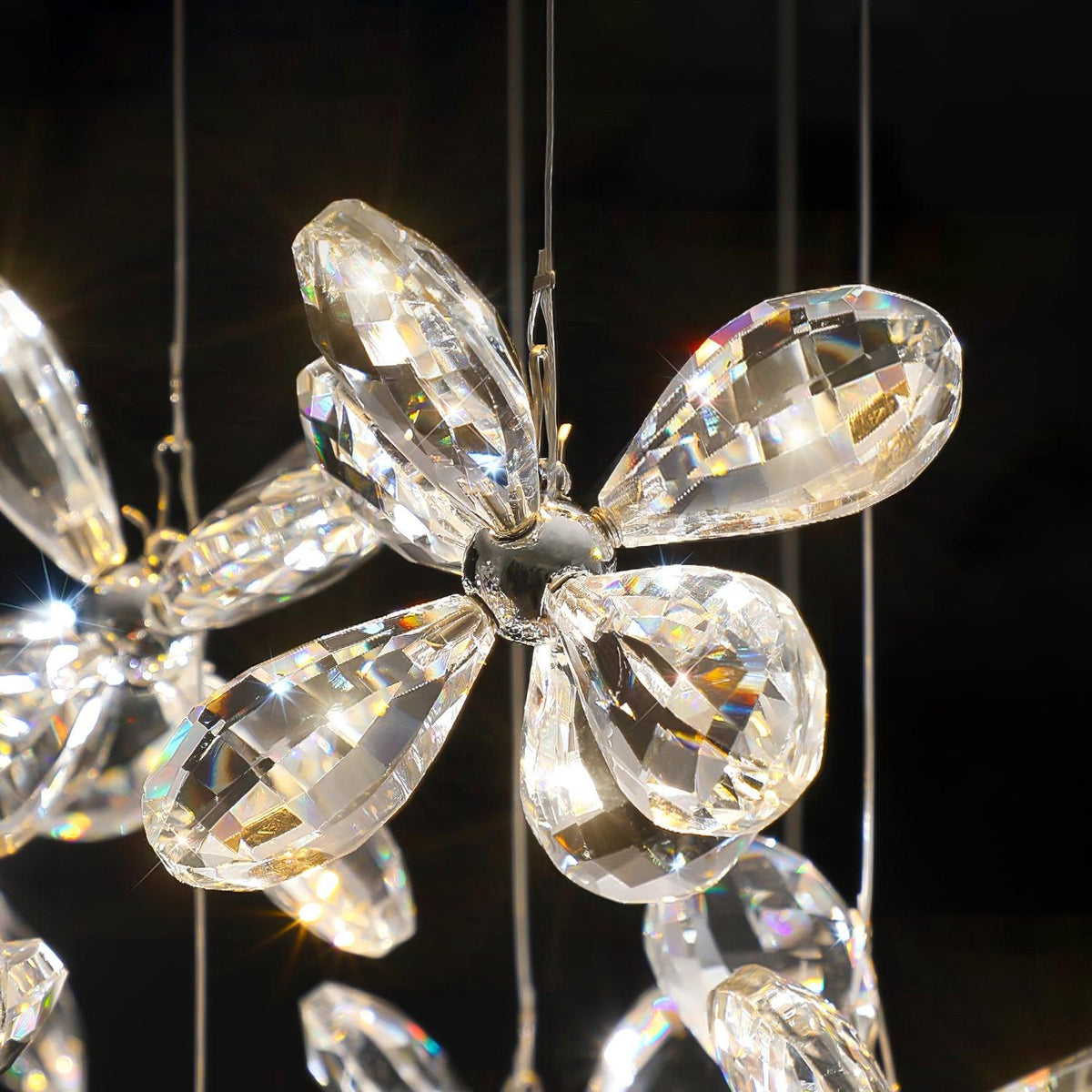Floating Butterfly Chandelier - Zelno Lighting