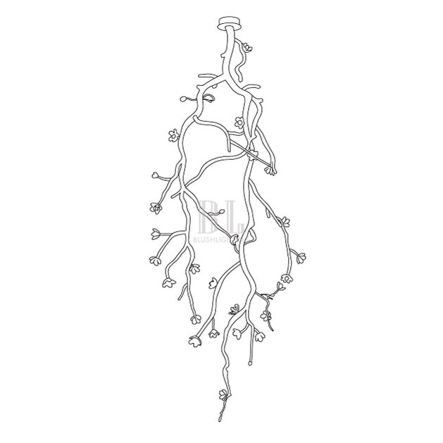 Large Long Branch Flower Chandelier - Zelno Lighting