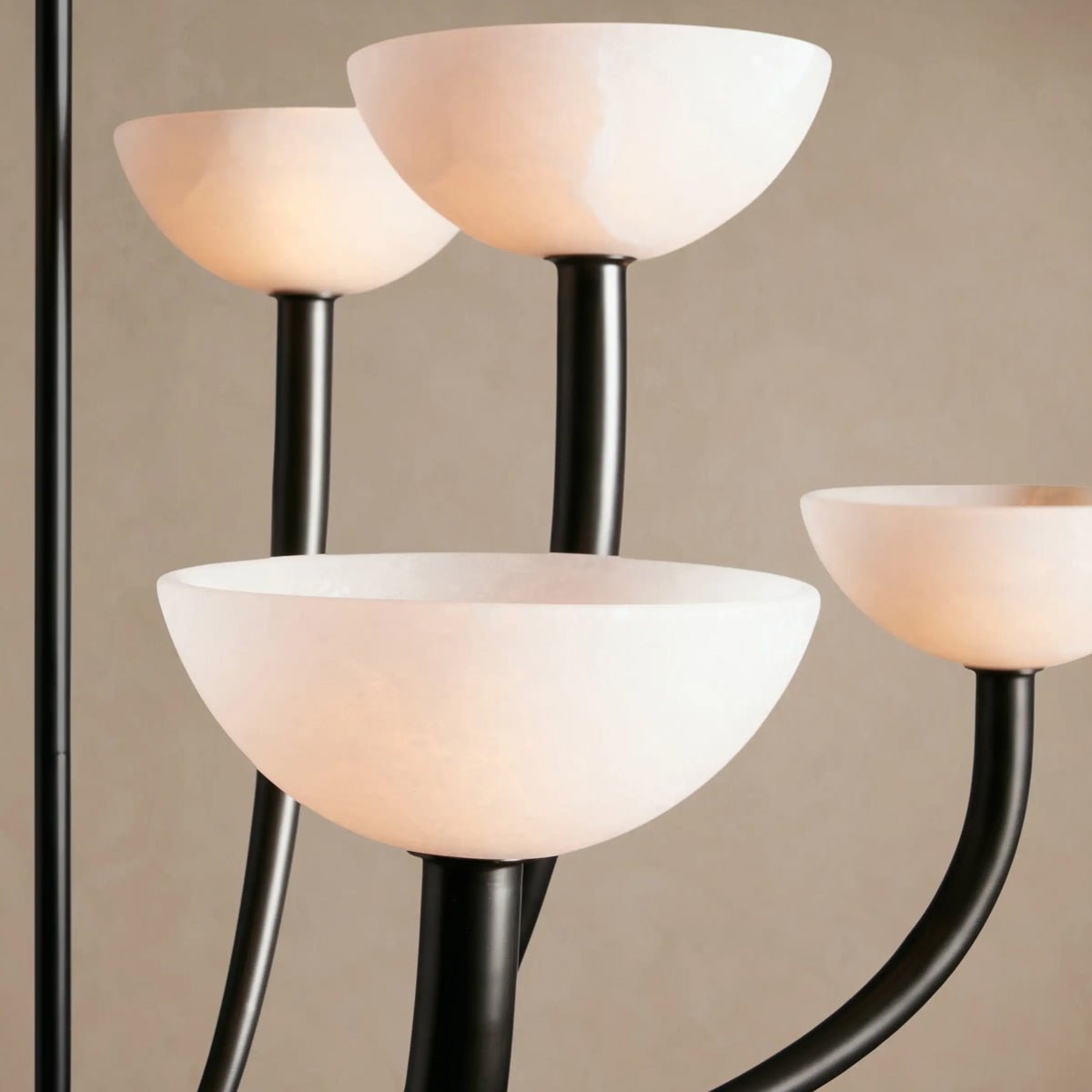 Saguaro Chandelier - Zelno