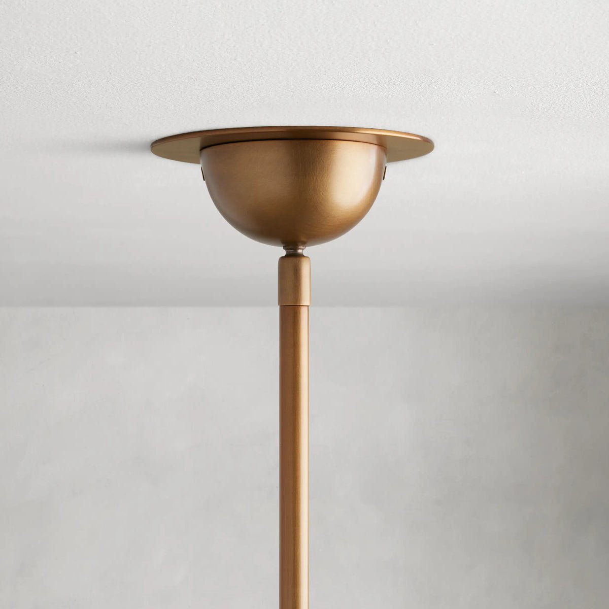 Saguaro Chandelier - Zelno